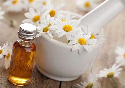 Tinh dầu cúc la mã