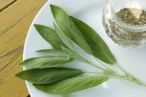 Tinh dầu lá xô thơm